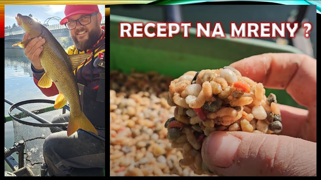 Recept na lov mreny: lepené kostné červy ?