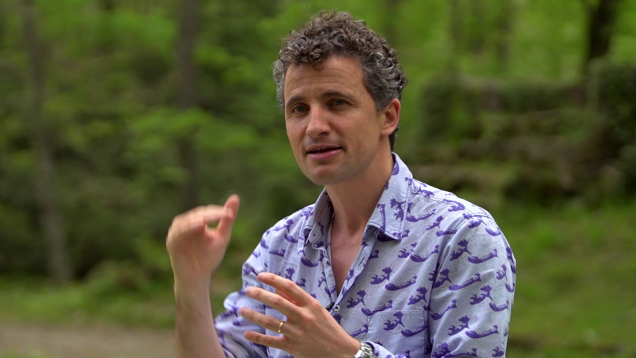 Transforma tu salud: mantener los estrógenos en equilibrio