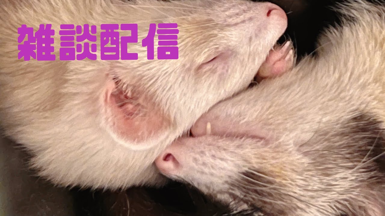 あつちゃんCKBちゃんねる がライブ配信中！