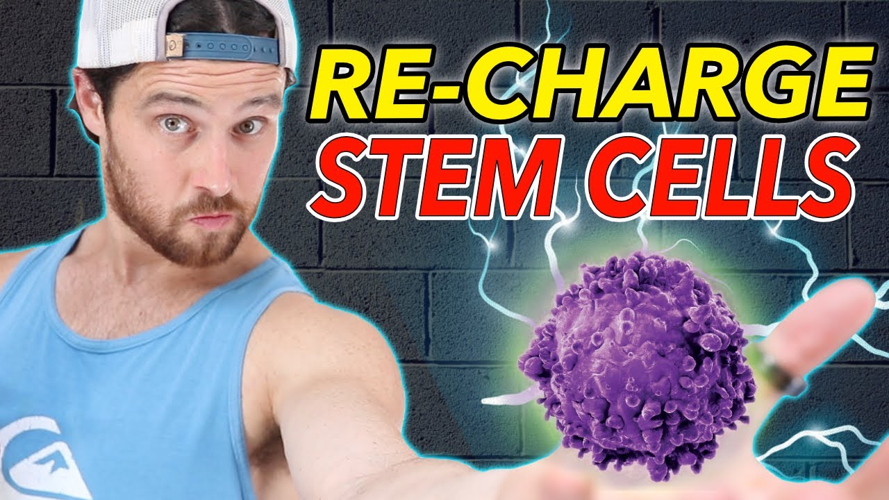 How Intermittent Fasting / Prolonged Fasting Can Regenerate STEM CELLS