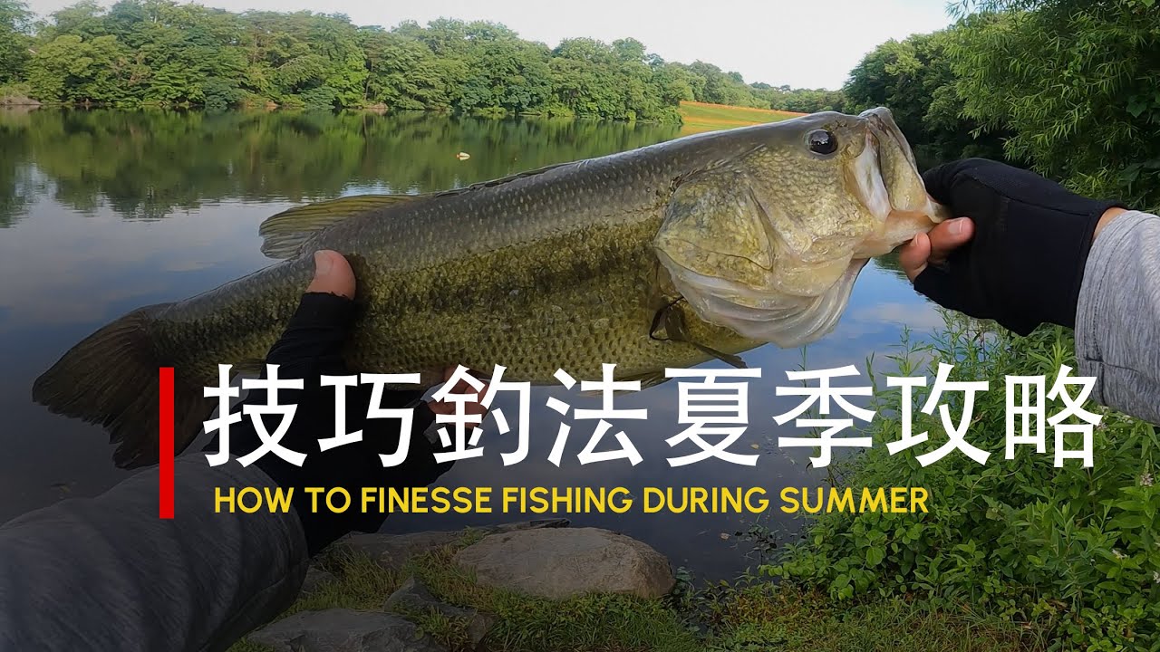 【美国路亚】技巧釣法Wacky Rig, Shaky Head, Weightless Senko應對夏季鱸魚｜收穫新個人最佳