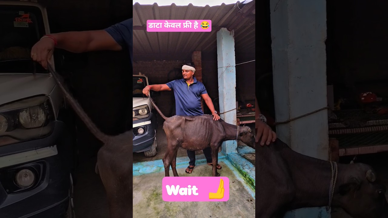 डाटा केवल फ्री है 😂 