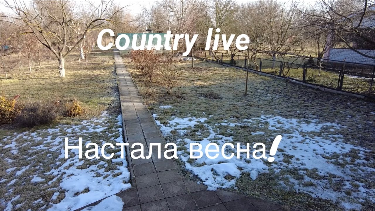 Country live. Настала весна. 02.03.2026