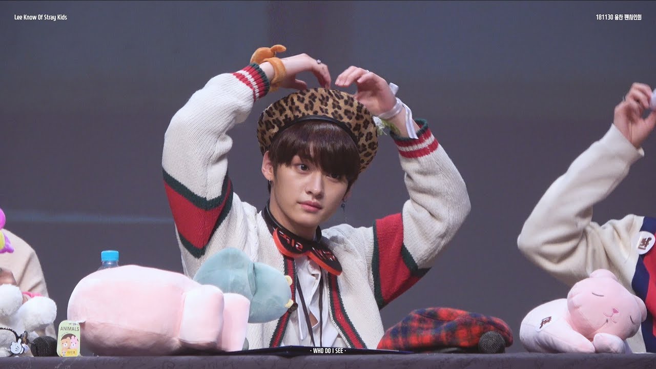 181130 스트레이 키즈 Stray Kids 용산 팬사인회 EDIT (리노 LeeKnow focus)