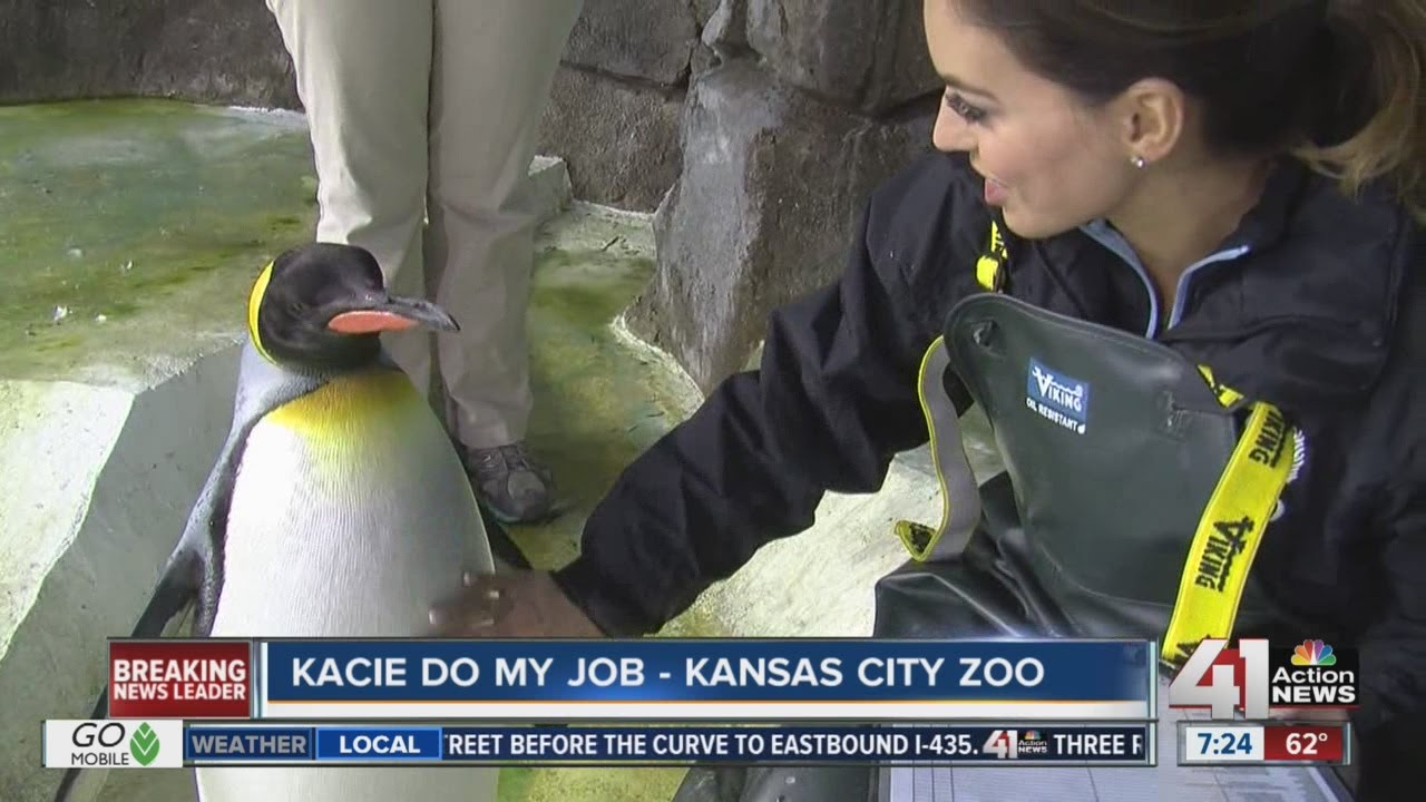 Kacie Do My Job: Kansas City Zoo