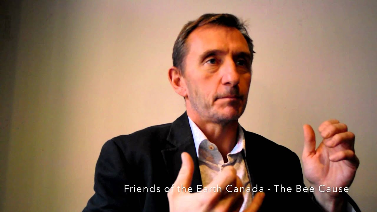 Dave Goulson discusses the variety of stresses bees face today.