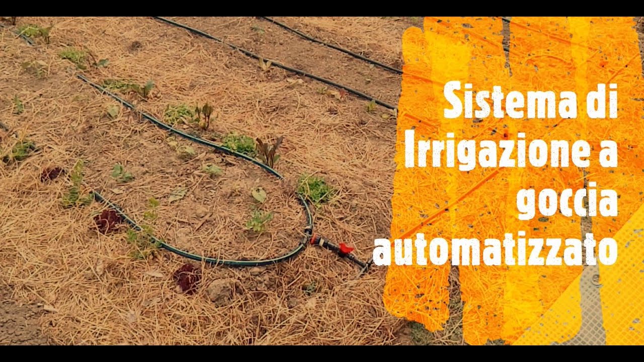 Sistema di Irrigazione a goccia Automatizzato per il nostro orto