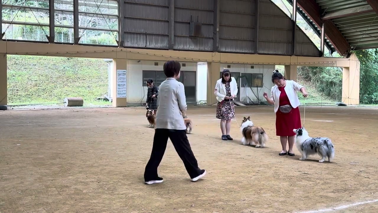 2025/10/19 JCC 岐阜展　Winner牝・ウインター