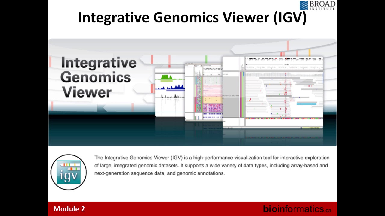 Genome Visualization