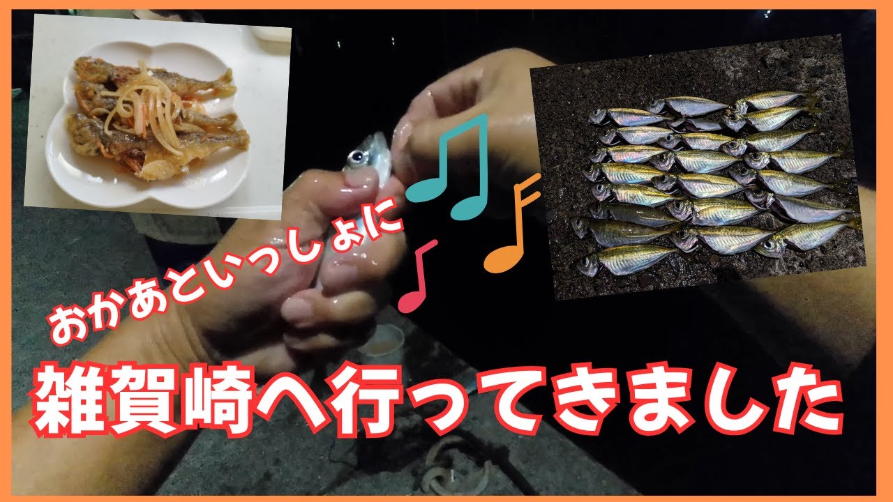 【和歌山雑賀崎漁港】アジ釣りに行ってきました