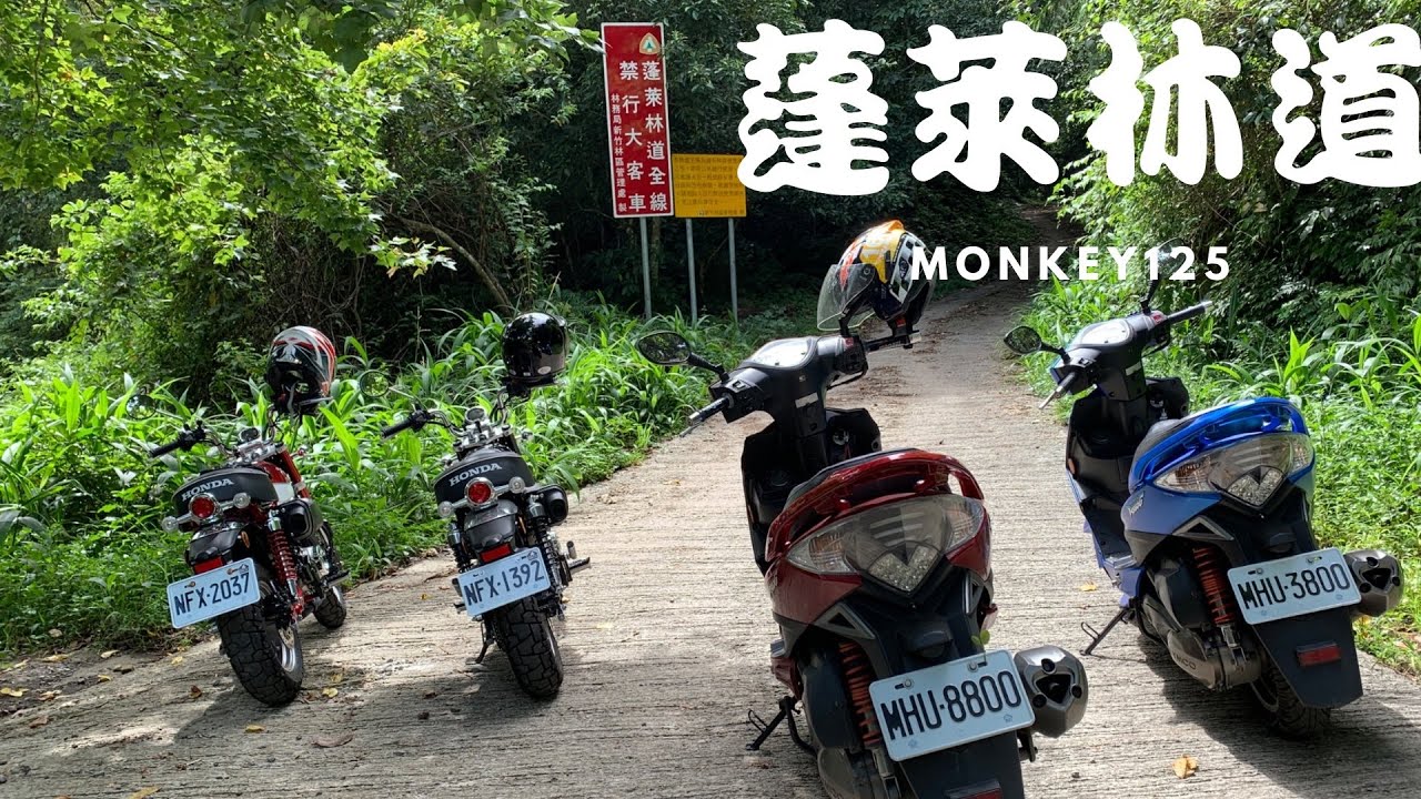 (free ride#5)蓬萊林道  ｜天然運動房｜史上最硬 回想起來就瑟瑟發抖|monkey 125