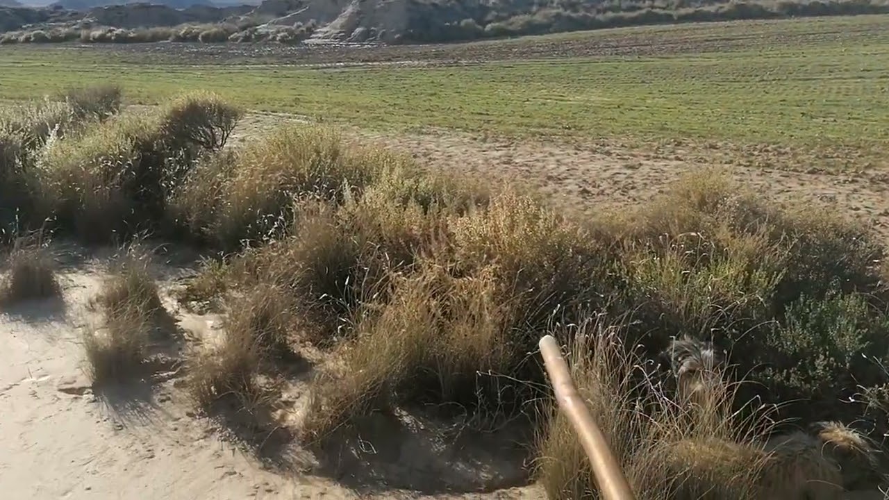 Pastoresdemergencia. com En las Bardenas Reales. Navarra.