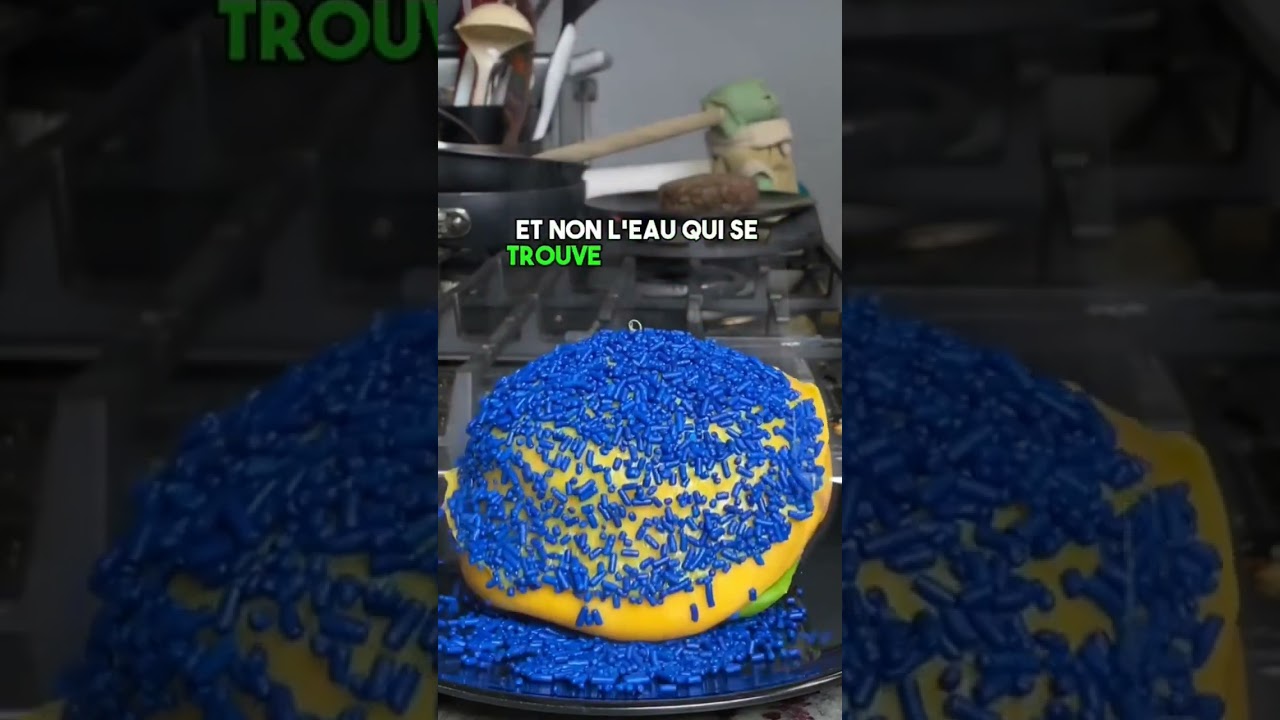 le saviez-vous ??? 