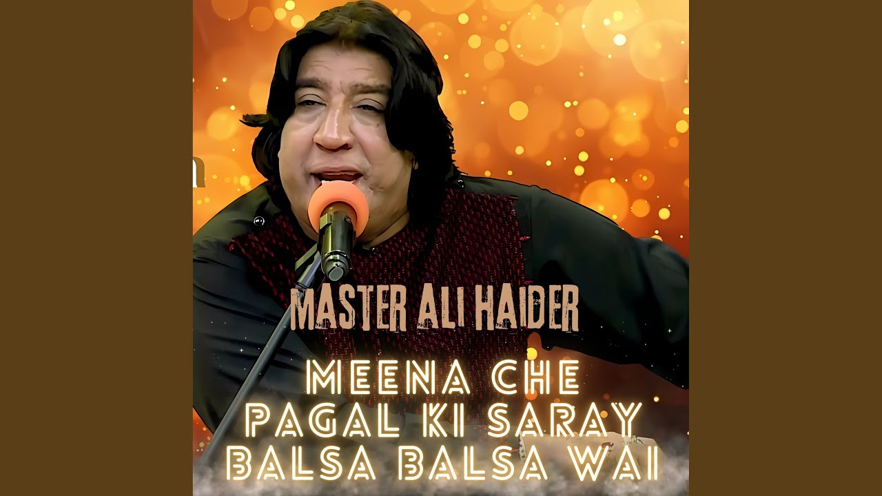 Meena Che Pagal Ki Saray Balsa Balsa Wai