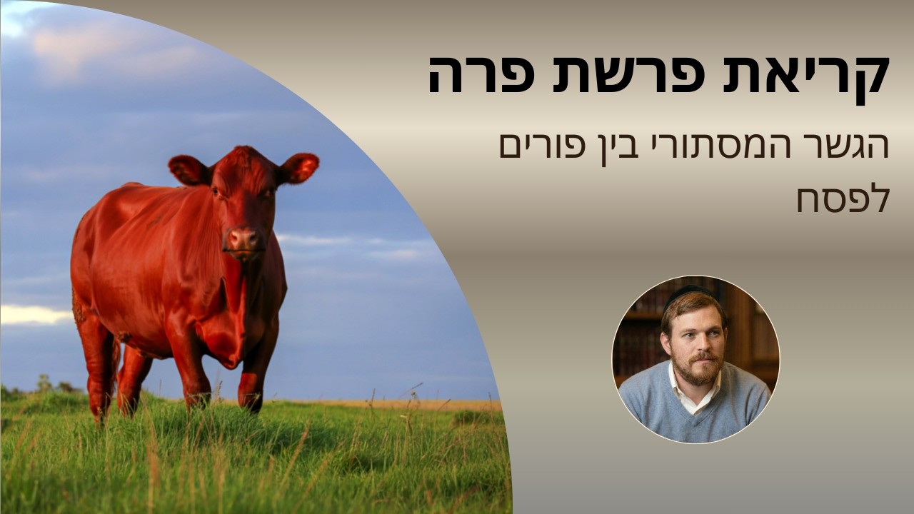 הרב יהושע שפירא:  פרשת פרה: הגשר המסתורי בין פורים לפסח