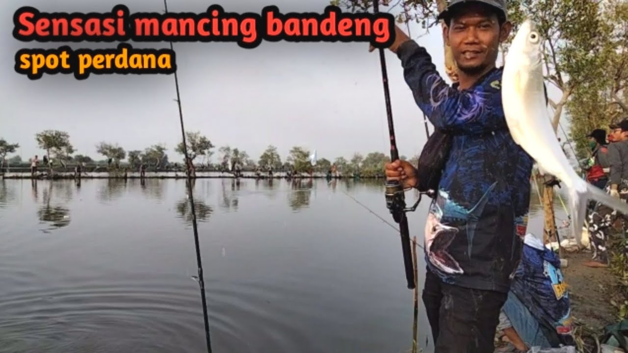 SENSASI MANCING BANDENG !! Spot Tambak  Harian Mancing Ikan Bandeng@AndresTBS