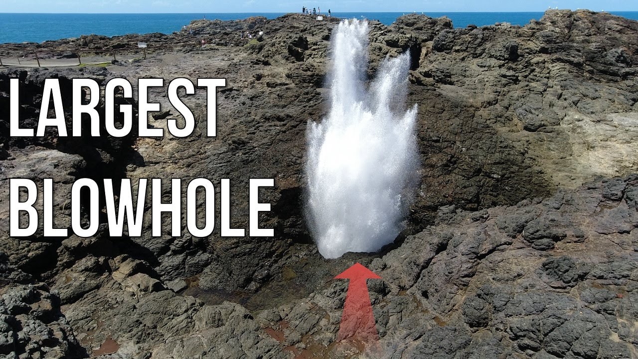 Risky Kiama Blowhole Walk | Largest Blowhole in the World!