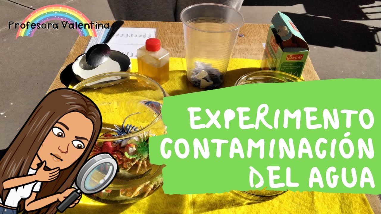 Experimento Contaminación del agua