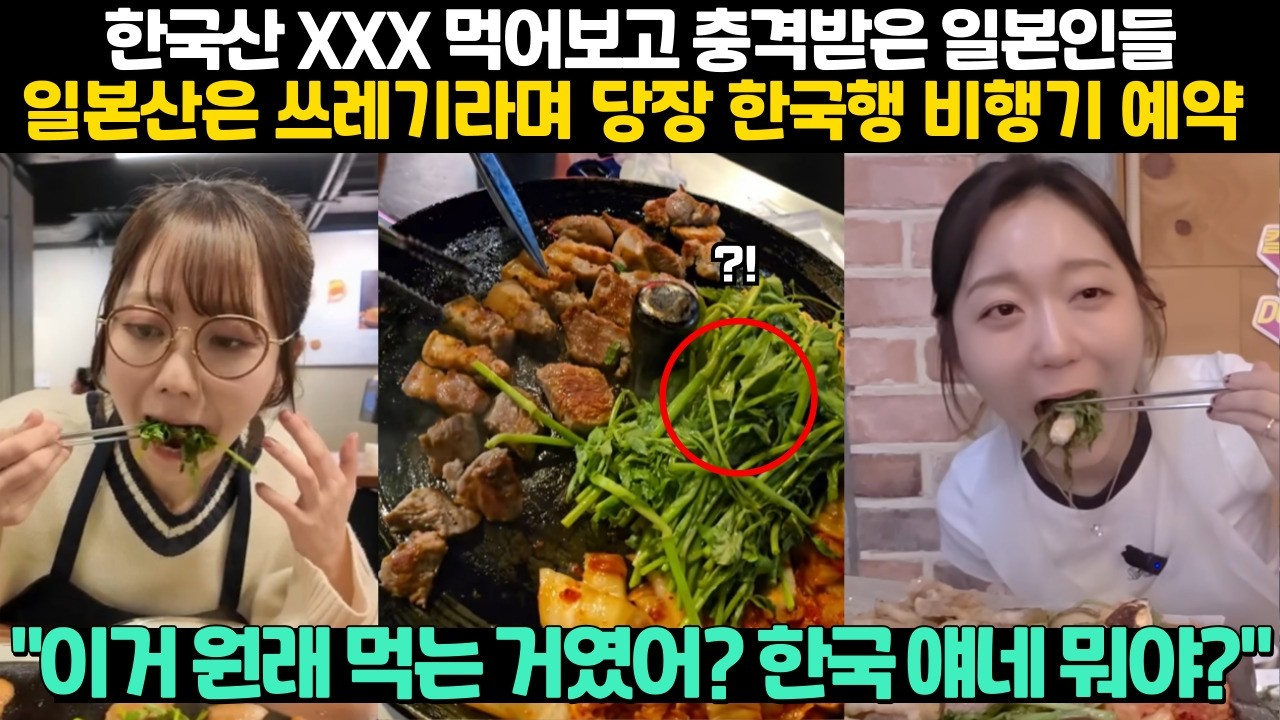 한국산 XXX 먹어보고 충격받은 일본인들 일본산은 쓰레기라며 당장 한국행 비행기 예약 