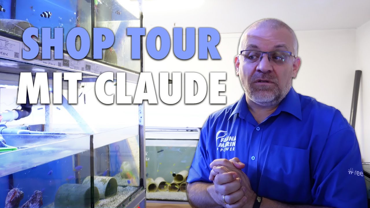 Claude bei Nautilus Aquaristik - Vlog mit Alex