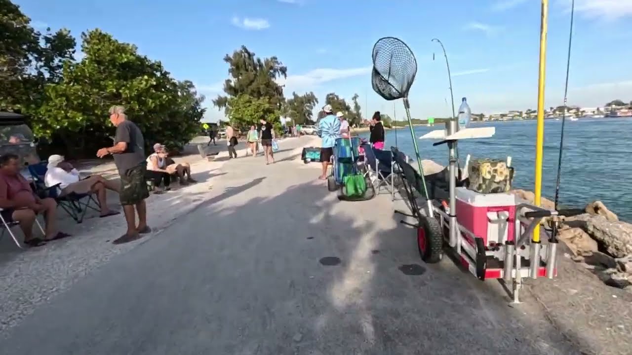 Fishing at the Venice Jetty! Рыбалка с пристани  Венис!