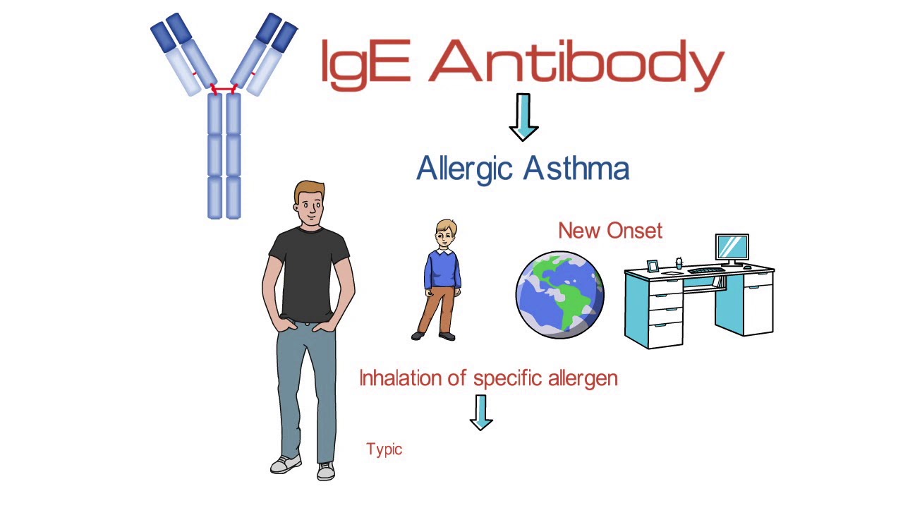 Precision Medicine: Understanding Asthma Endotypes and Phenotypes
