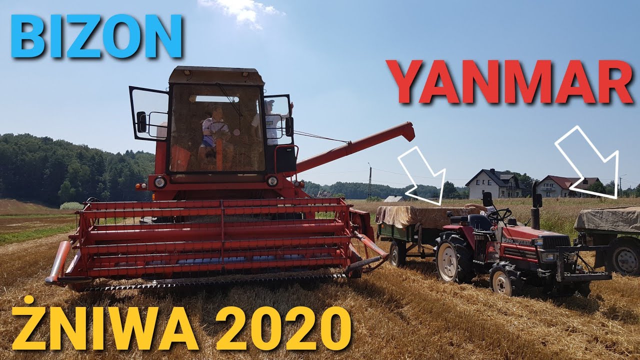 Żniwa i podorywka 2020 Bizon & YANMAR F24D koszenie pszenicy