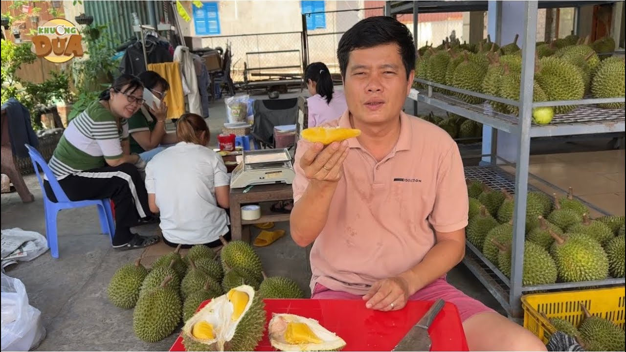 Sầu riêng ngon giao cho bà con, Khương Dừa ăn sầu riêng úng vỏ nhưng ruột ngon hết sẩy