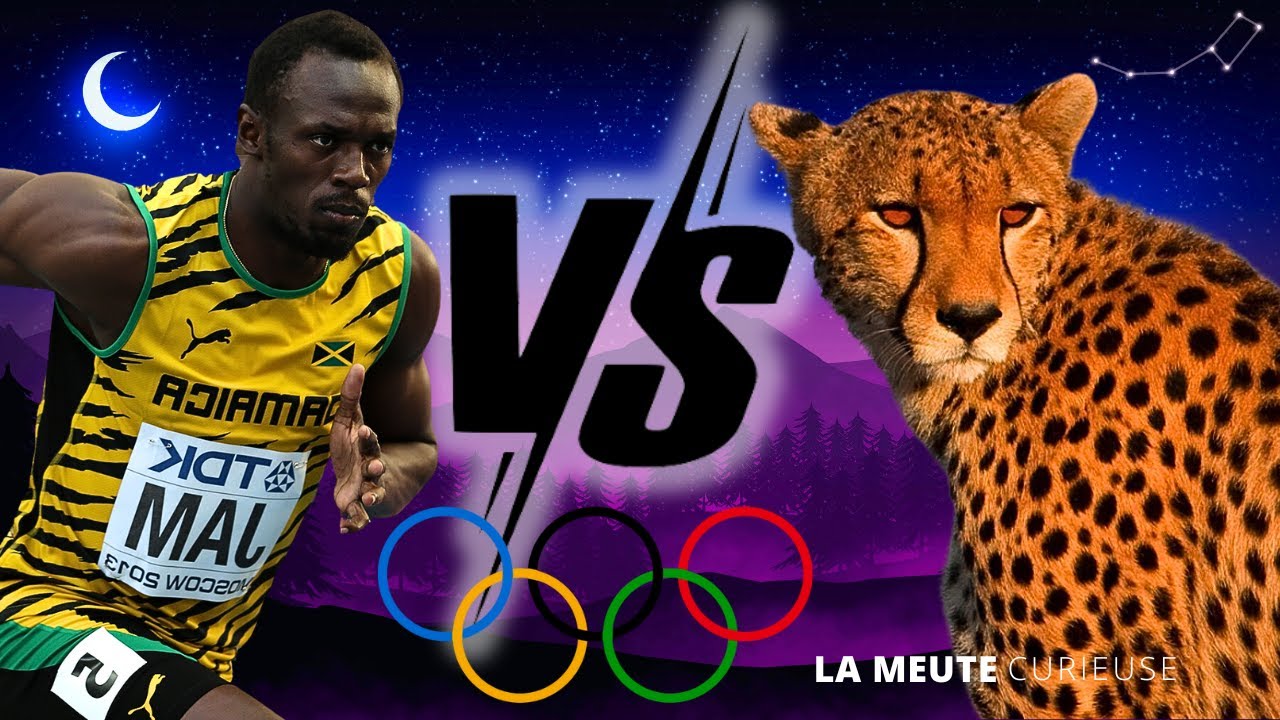 Et Si Usain Bolt affrontait les animaux les plus rapides de la planète