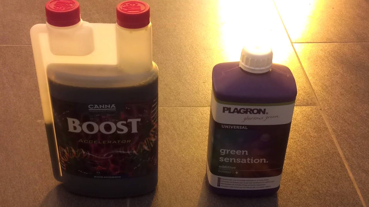 Canna Boost vs. Plagron Green Sensation Pt.2 Grow