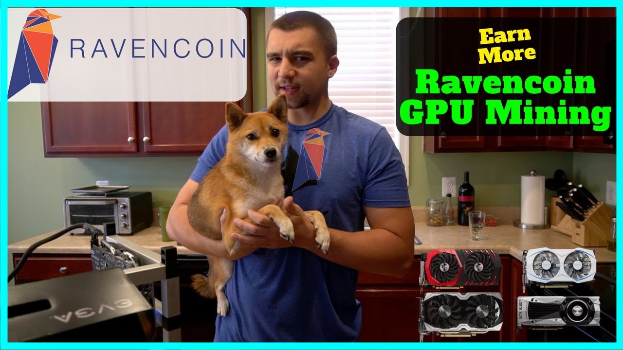 How To Mine Ravencoin + Best Wallet + Best RVN Miner - Increase Mining Profits