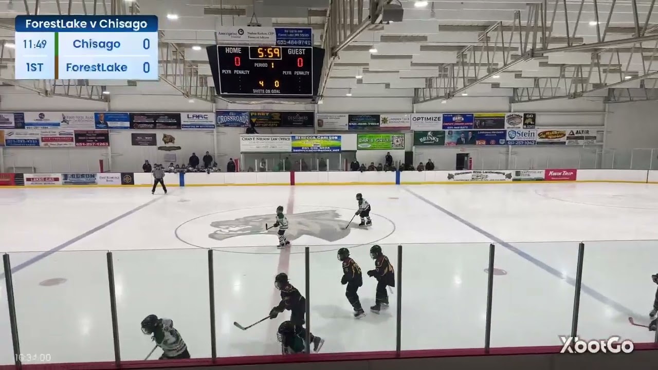 Forest Lake Squirt C Gold vs Chisago Lakes Squirt C - 2-14-26
