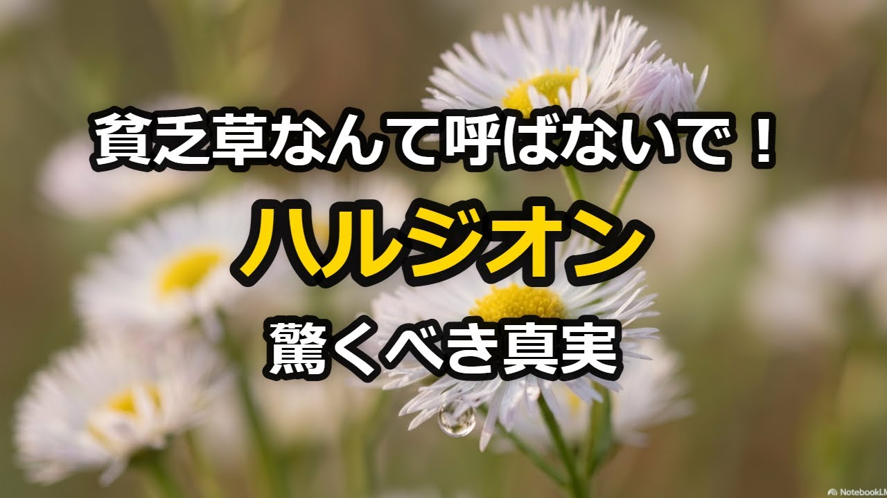 春の道端に咲く「ハルジオン」の意外な正体：貧乏草の由来から絶品レシピまで徹底解説