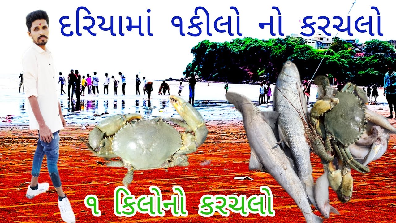 દરિયામાં ૧કિલો નો કરચલ llllAasha Bharat vlogs llLifestyle vlogs llgujrati llમાછલી
