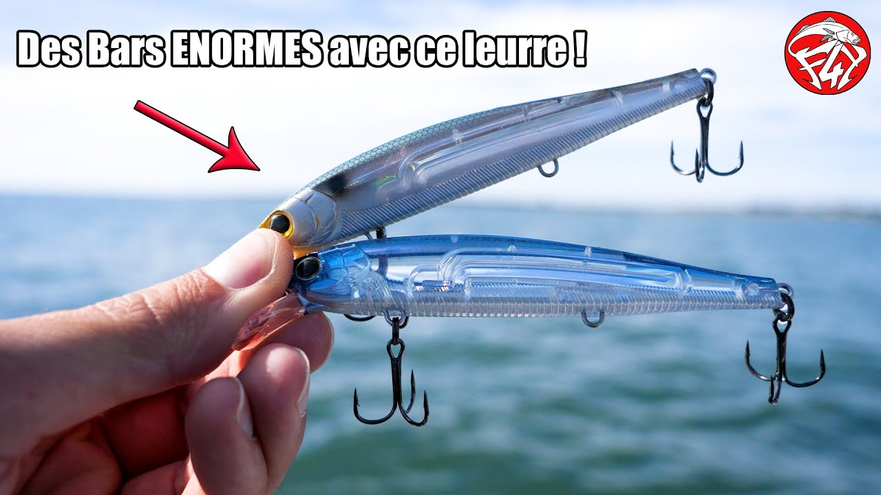 Ce leurre est REDOUTABLE, que des GROS BARS avec  Pêche du bar aux leurres dans le Golfe du Morbihan