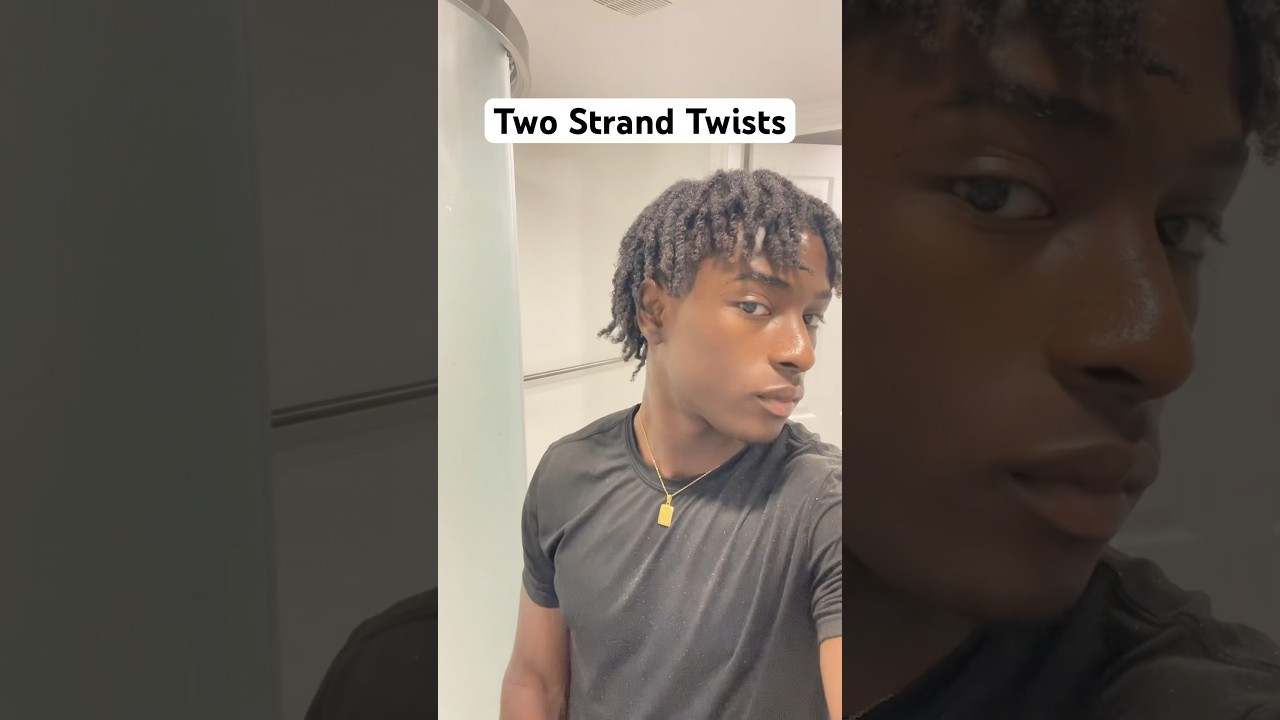 Two Strand Twists #selftwists #twostrandtwist #twistshairstyle #twists #hairgrowth #hairstyle #viral