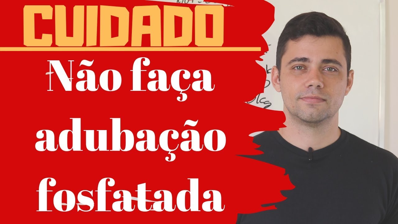 Não faça adubação fosfatada sem ver esse vídeo!