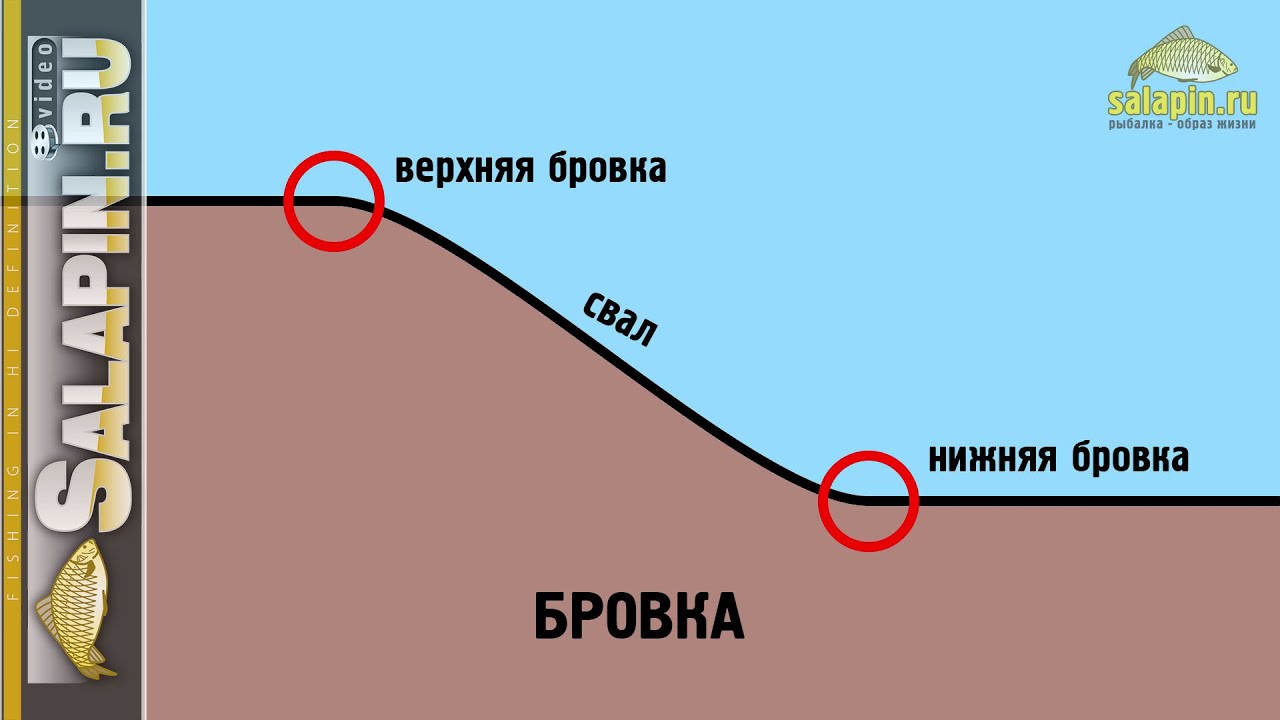 Что такое бровка, русло, стол, полив и другие страшные термины [salapinru]