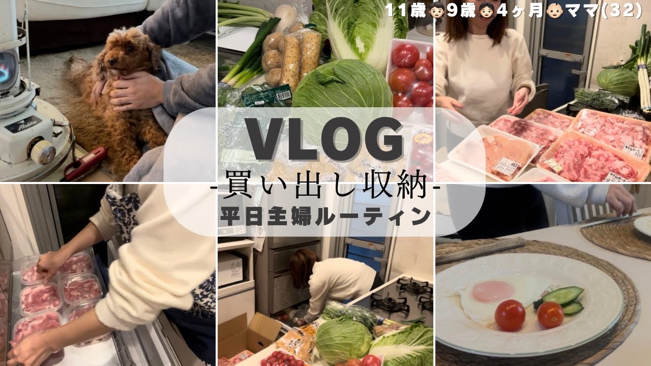 【まとめ買い】1回の食費💰仕分けと収納🥬🥩🍹平日の夫婦VLOG。買い出し主婦ルーティン🍳