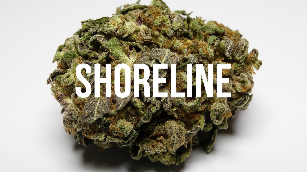 Shoreline Strain Review