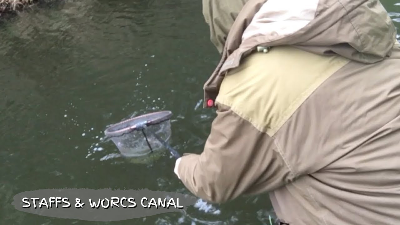 🎣 Perch fishing on the Staffs & Worcs Canal with worm