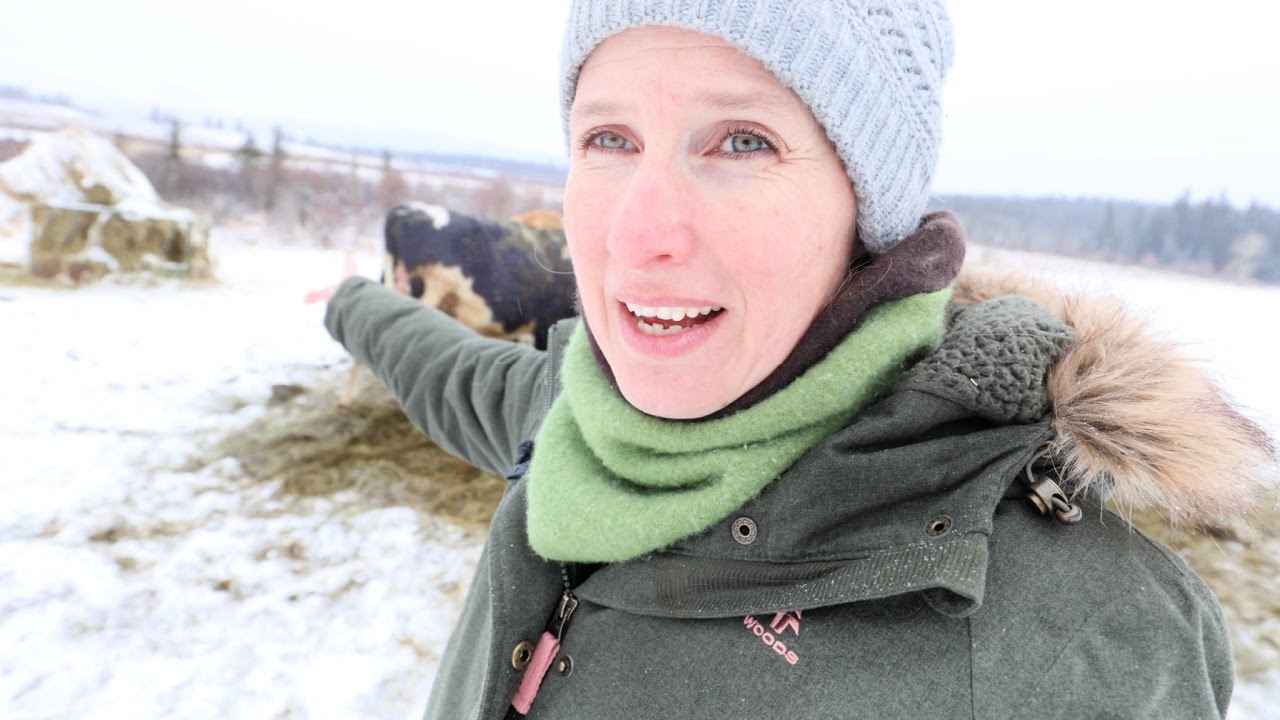-43 EXTREME Cold! | Curing Bacon | Mini Garden Supplies Haul
