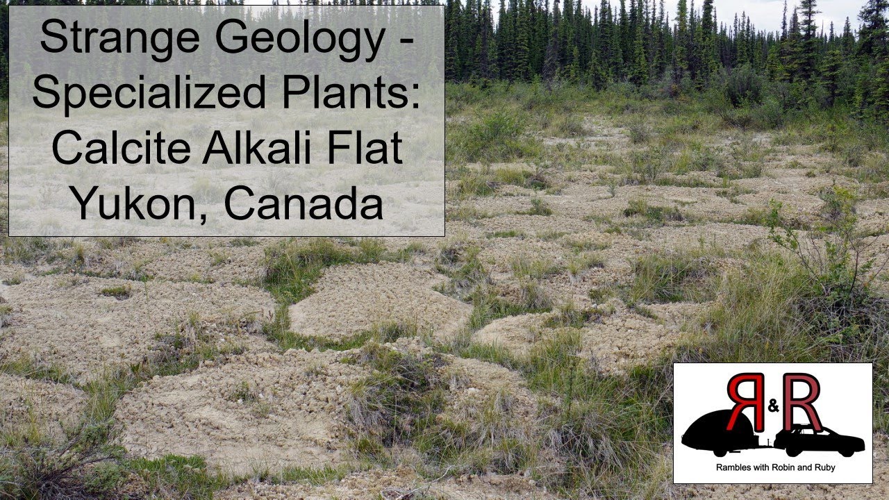 Strange Geology - Specialized Plants: Calcite Alkali Flat, Yukon, Canada