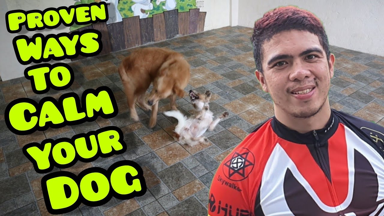 PAANO MAGING KALMADO ANG ASO? (dog of Susan Enriquez)
