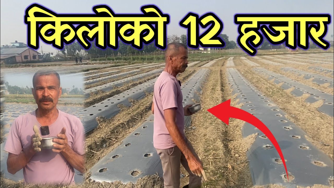 सबै खर्च अनि लगानी कटाएर 10 लाख हुन्छ!