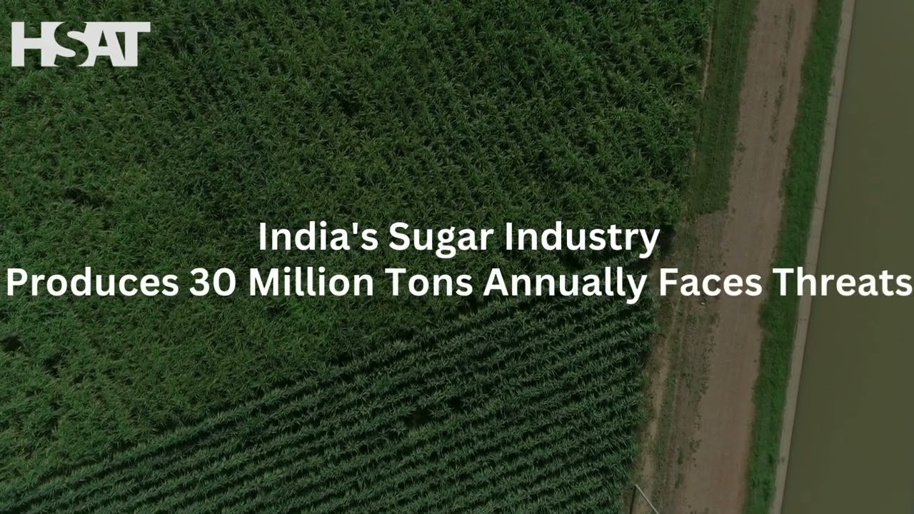 El Nino&rsquo;s Impact on India&rsquo;s Sugar Industry and Need for Sustainable Practices