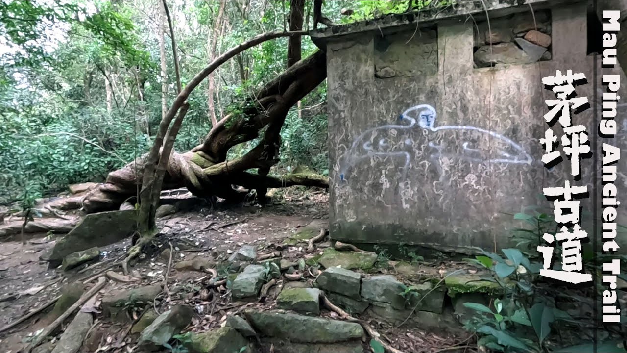 茅坪古道