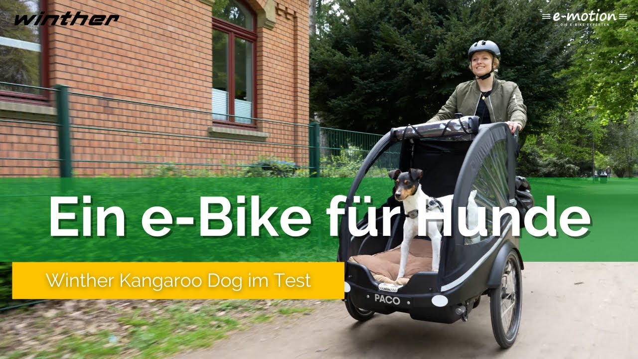Winther Kangaroo Dog 🚴🐶 | Das Lastenrad für Hunde im Test 🕵️🔎