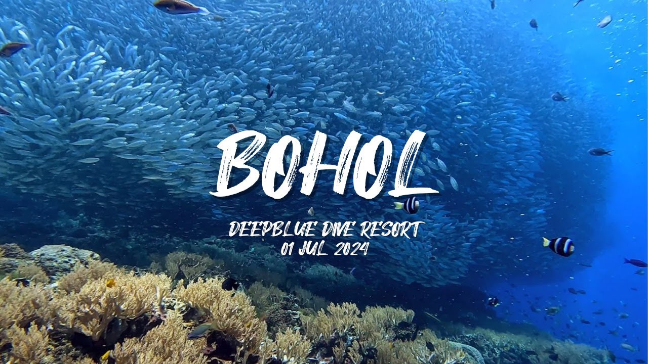 스쿠버여행 @ 필리핀 보홀 2024년7월 | Scuba trip to Bohol, Philippines, JUL 2024