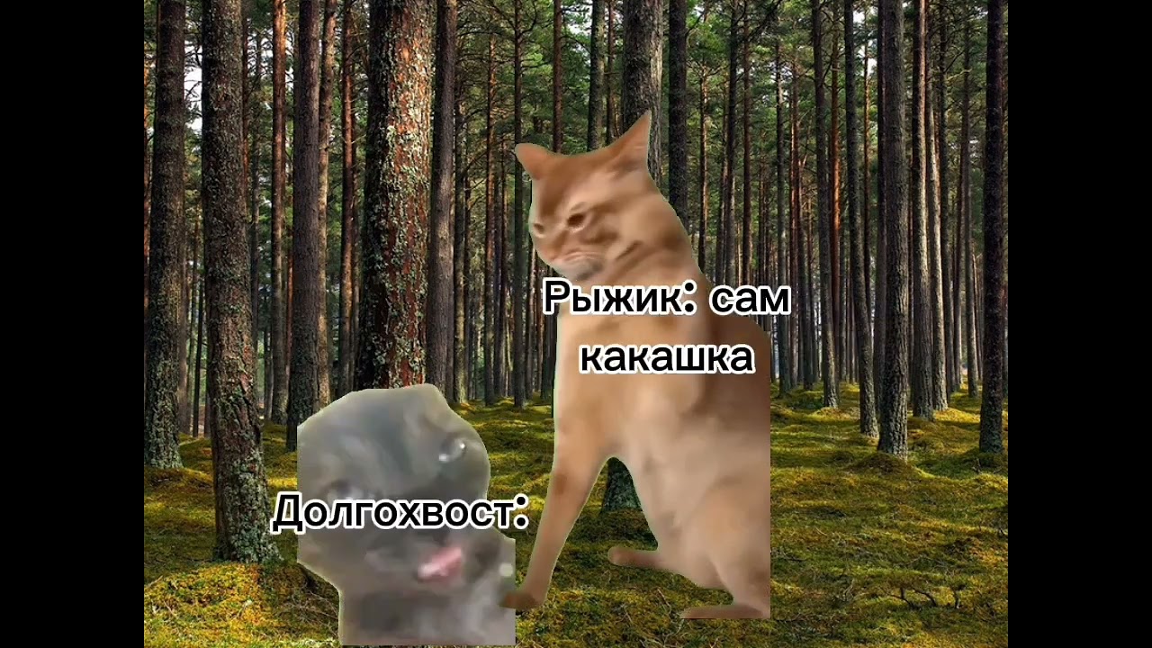 Коты - воители 